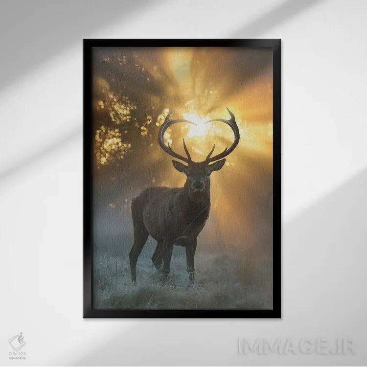 تابلو دکوراتیو درخشش شاخ های قلبی شکل اثر مکس الیس - نمای قابدار مشکی