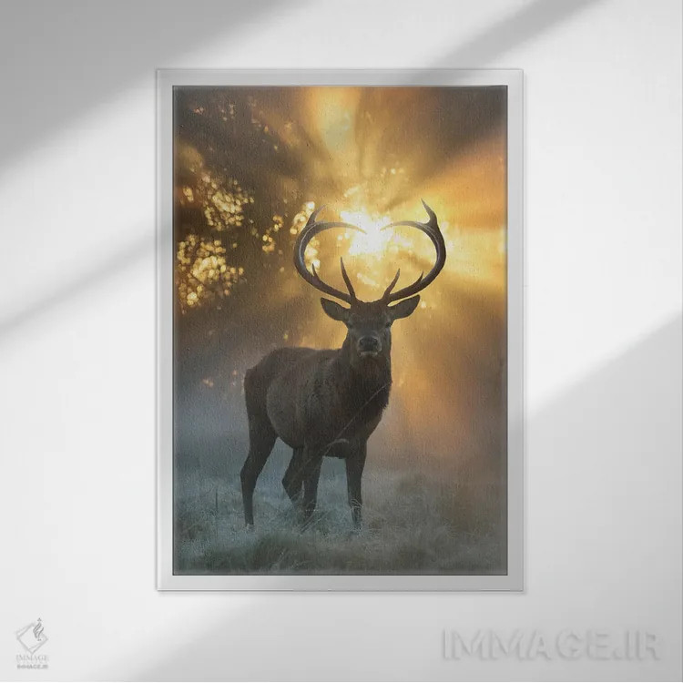 تابلو دکوراتیو درخشش شاخ های قلبی شکل اثر مکس الیس - نمای قابدار سفید