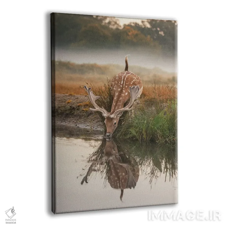 تابلو دکوراتیو بازتاب آهو اثر مکس الیس - نمای پرسپکتیو محصول