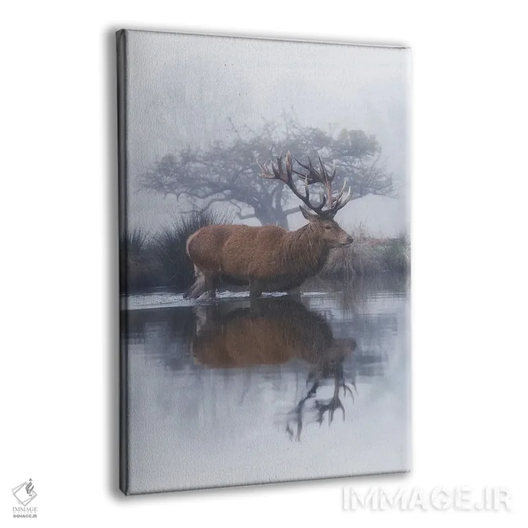 تابلو دکوراتیو مه و زالزالک اثر مکس الیس - نمای پرسپکتیو محصول