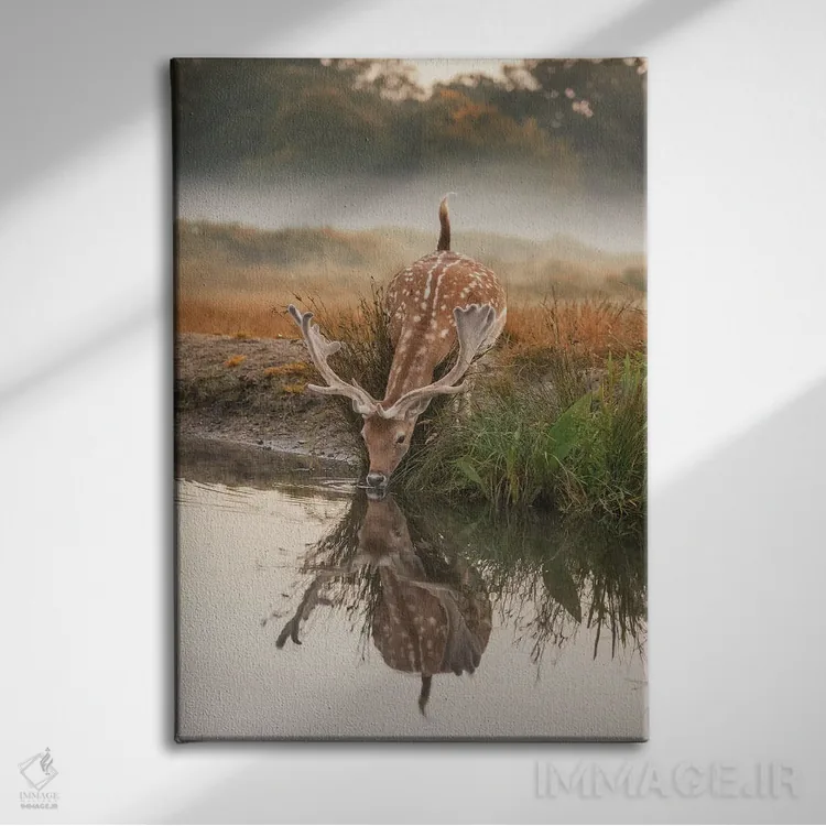 تابلو دکوراتیو بازتاب آهو اثر مکس الیس - نمای روبهرو روی دیوار