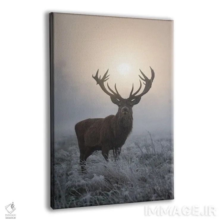 تابلو دکوراتیو درخشش یخ زده اثر مکس الیس - نمای پرسپکتیو محصول