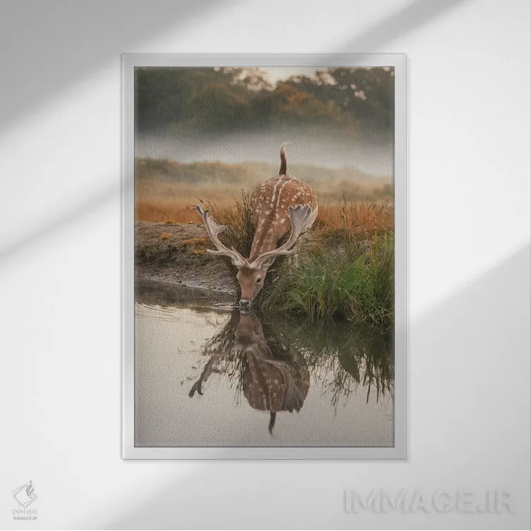 تابلو دکوراتیو بازتاب آهو اثر مکس الیس - نمای قابدار سفید