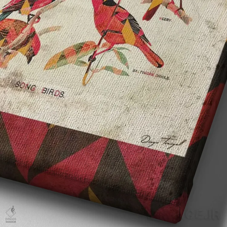 تابلو دکوراتیو پرندگان آوازخوان نسخه ۲ اثر دیه گو تیریگال - نمای نزدیک بافت بوم