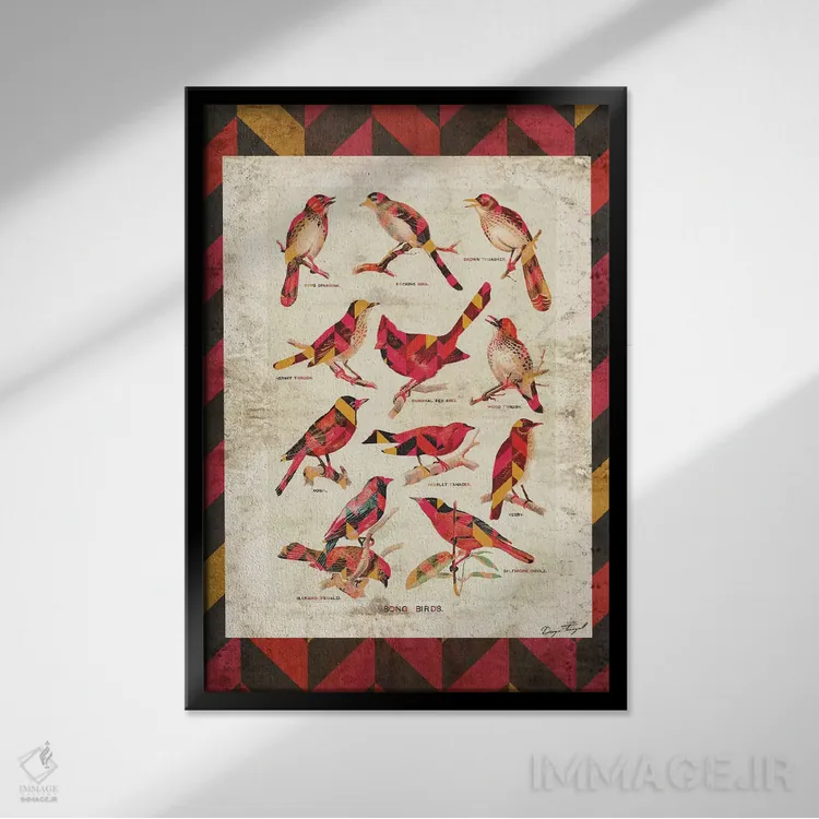 تابلو دکوراتیو پرندگان آوازخوان نسخه ۲ اثر دیه گو تیریگال - نمای قابدار مشکی