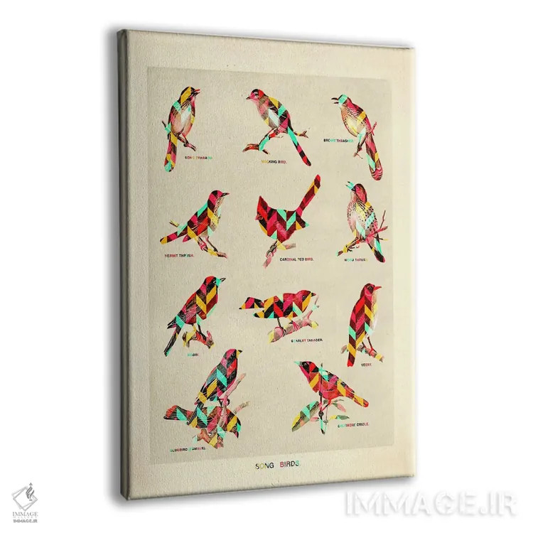 تابلو دکوراتیو پرندگان آوازخوان اثر دیه گو تیریگال - نمای پرسپکتیو محصول