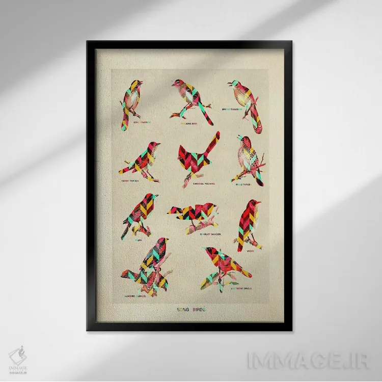 تابلو دکوراتیو پرندگان آوازخوان اثر دیه گو تیریگال - نمای قابدار مشکی