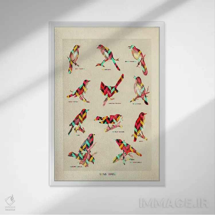 تابلو دکوراتیو پرندگان آوازخوان اثر دیه گو تیریگال - نمای قابدار سفید