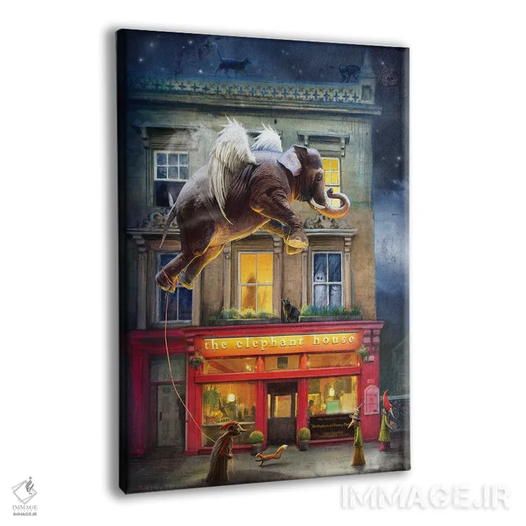 تابلو دکوراتیو خانه فیل اثر ماتیلدا کونه کا - نمای پرسپکتیو محصول