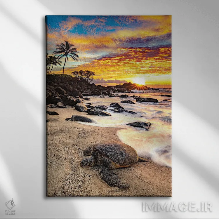 تابلو دکوراتیو لاک پشت سبز اثر شین مایرز - نمای روبهرو روی دیوار