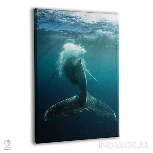 تابلو دکوراتیو شلاق حبابی اثر شین مایرز - نمای پرسپکتیو محصول