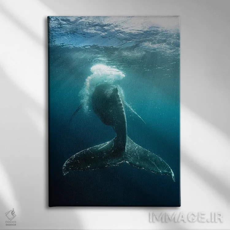 تابلو دکوراتیو شلاق حبابی اثر شین مایرز - نمای روبهرو روی دیوار