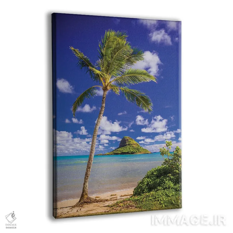 تابلو دکوراتیو کلاه نارگیلی اثر شین مایرز - نمای پرسپکتیو محصول