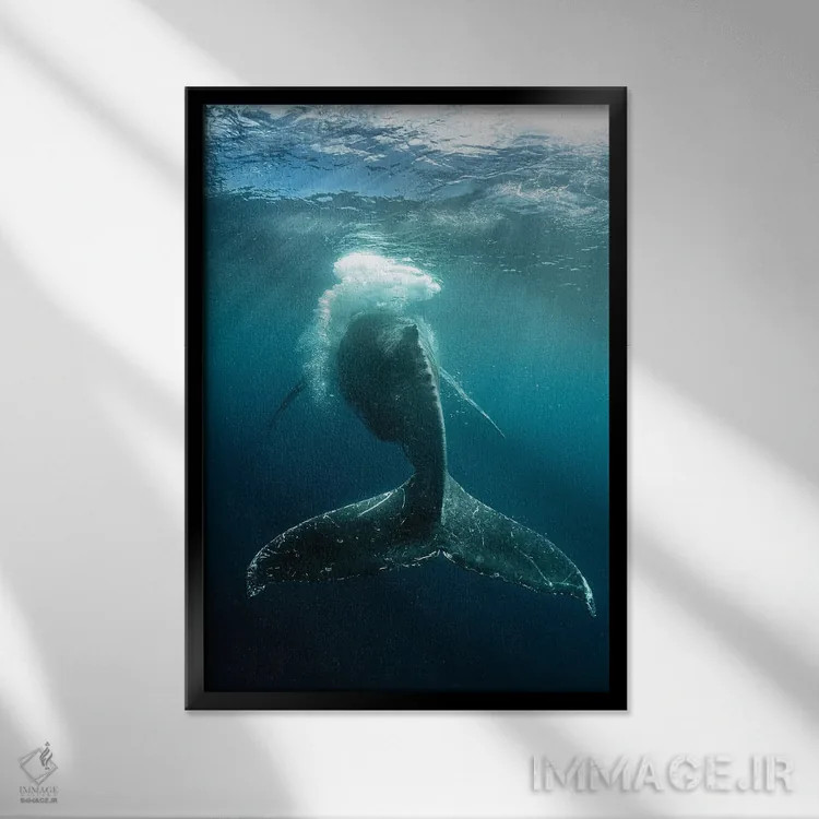 تابلو دکوراتیو شلاق حبابی اثر شین مایرز - نمای قابدار مشکی