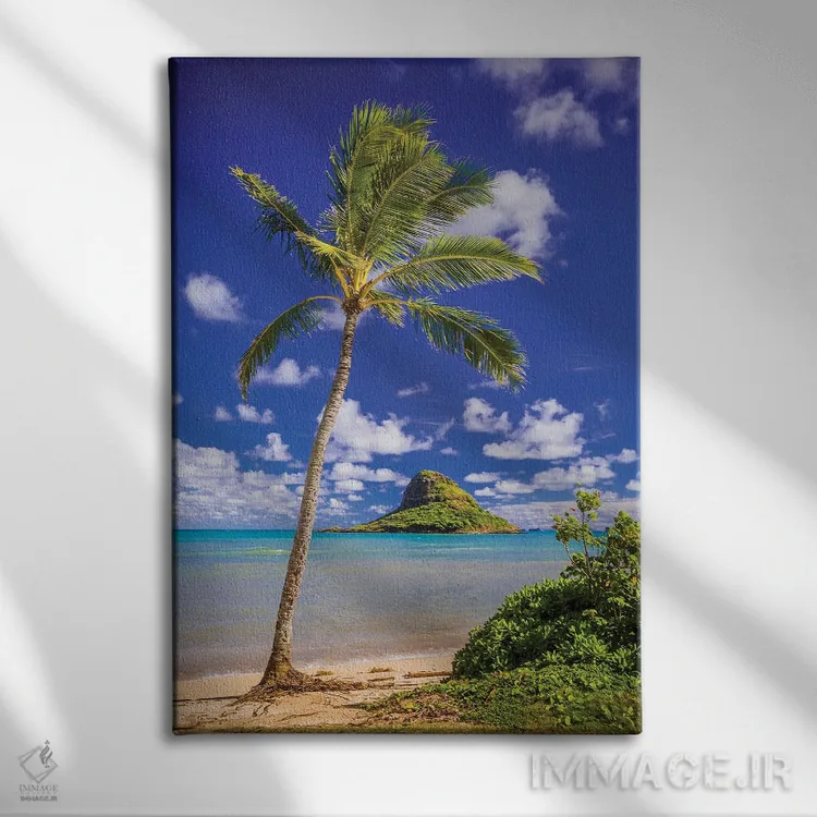 تابلو دکوراتیو کلاه نارگیلی اثر شین مایرز - نمای روبهرو روی دیوار