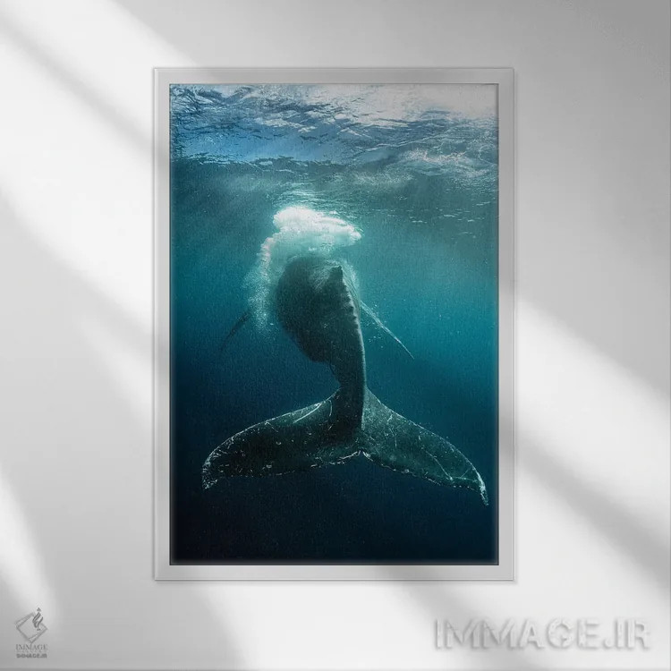 تابلو دکوراتیو شلاق حبابی اثر شین مایرز - نمای قابدار سفید