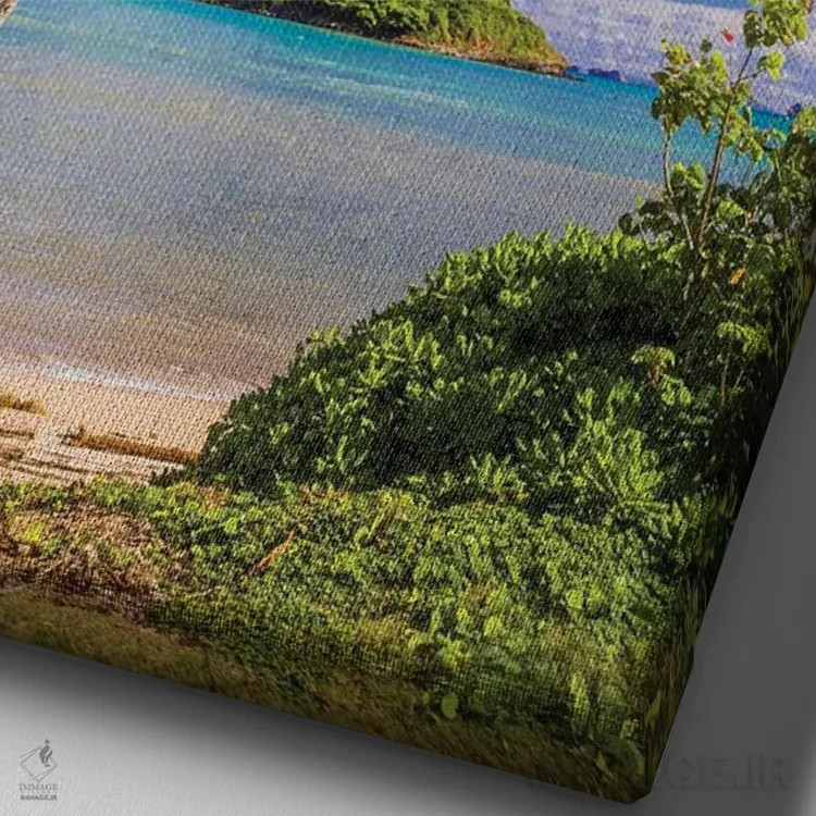 تابلو دکوراتیو کلاه نارگیلی اثر شین مایرز - نمای نزدیک بافت بوم