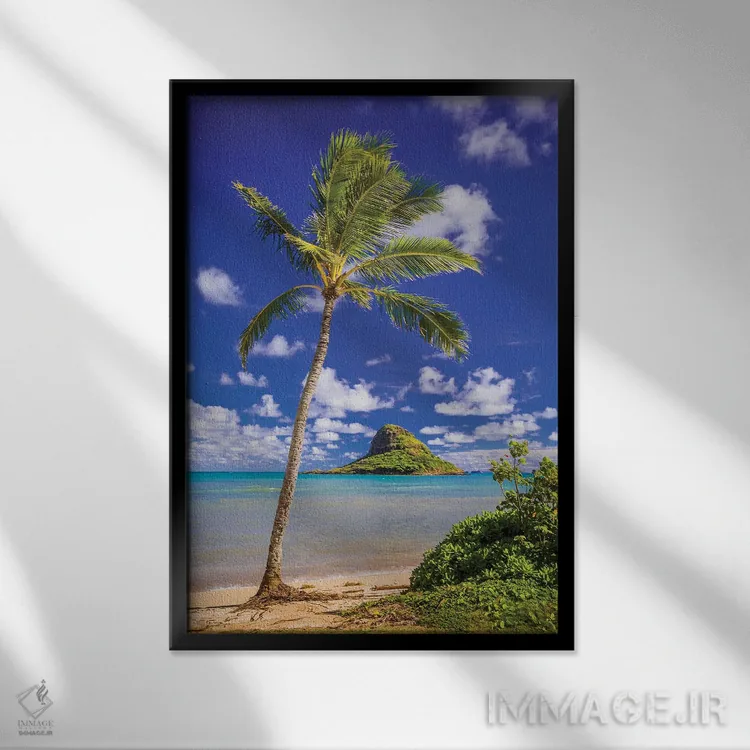 تابلو دکوراتیو کلاه نارگیلی اثر شین مایرز - نمای قابدار مشکی