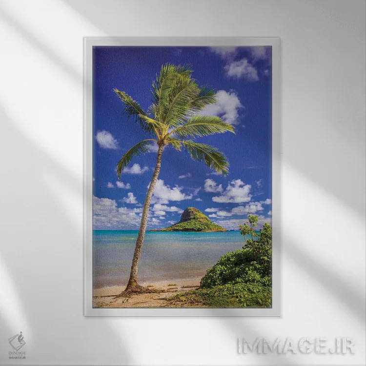 تابلو دکوراتیو کلاه نارگیلی اثر شین مایرز - نمای قابدار سفید