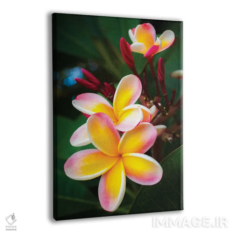 تابلو دکوراتیو صورتی اثر شین مایرز - نمای پرسپکتیو محصول