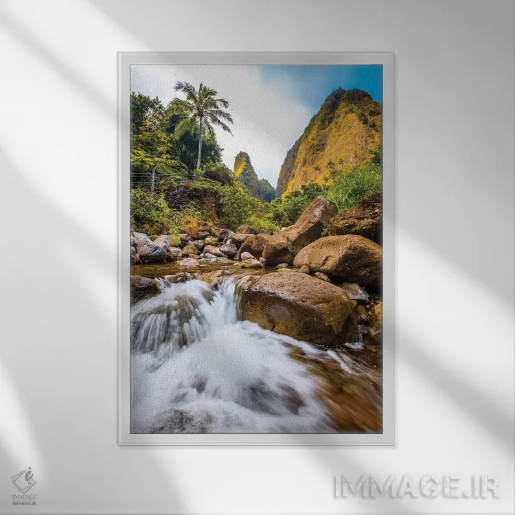 تابلو دکوراتیو سوزن ایائو اثر شین مایرز - نمای قابدار سفید