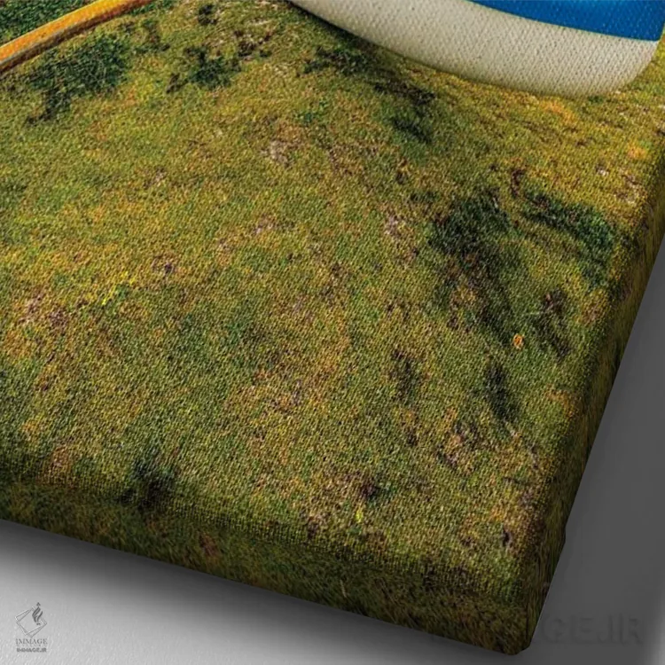 تابلو دکوراتیو اما پایین اثر شین مایرز - نمای نزدیک بافت بوم