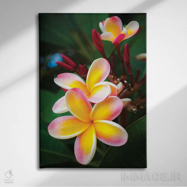 تابلو دکوراتیو صورتی اثر شین مایرز - نمای روبهرو روی دیوار