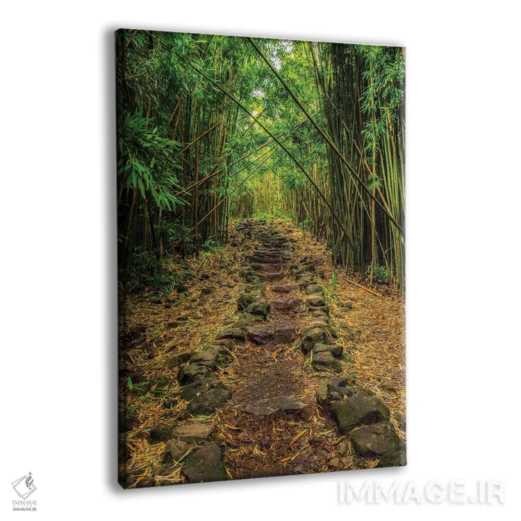 تابلو دکوراتیو گول خورده اثر شین مایرز - نمای پرسپکتیو محصول