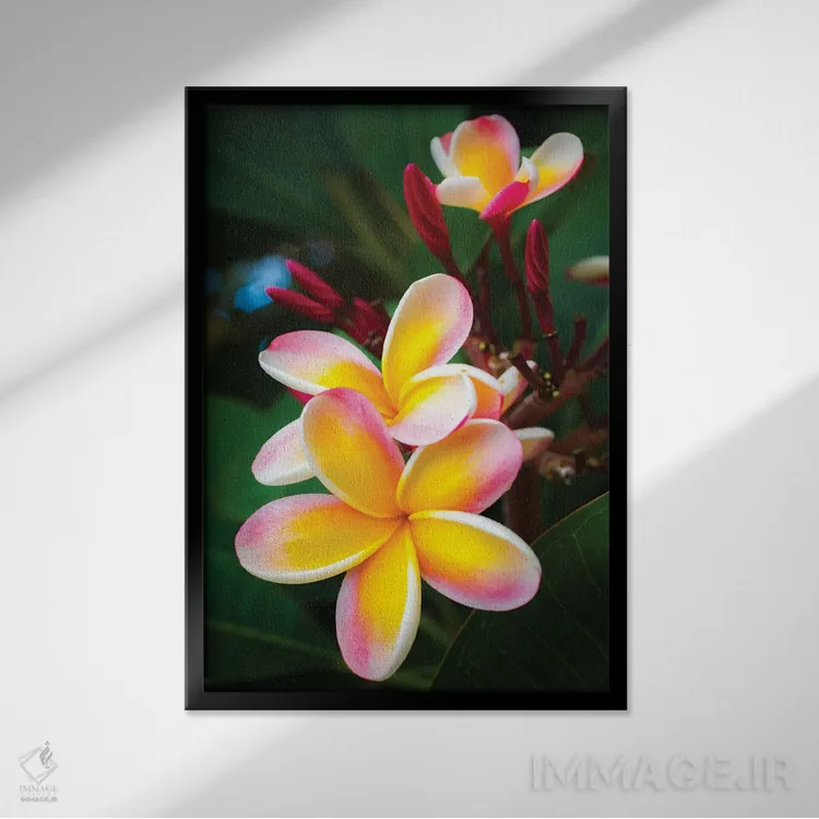 تابلو دکوراتیو صورتی اثر شین مایرز - نمای قابدار مشکی