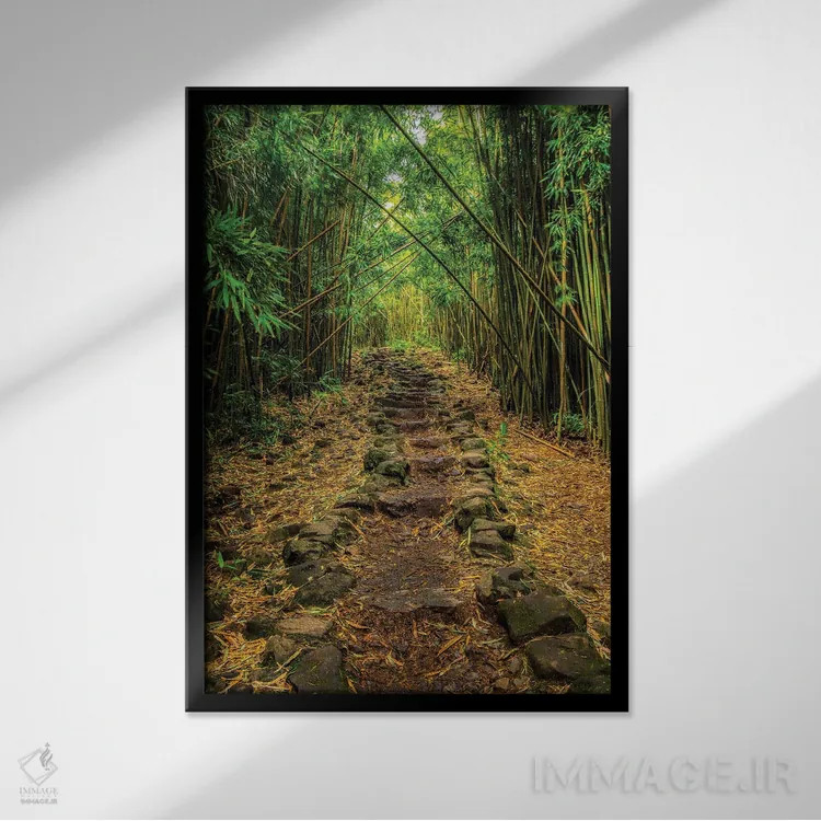 تابلو دکوراتیو گول خورده اثر شین مایرز - نمای قابدار مشکی