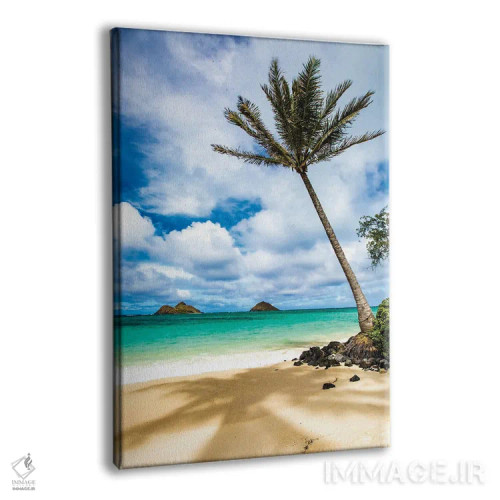 تابلو دکوراتیو صحبت سایه اثر شین مایرز - نمای پرسپکتیو محصول