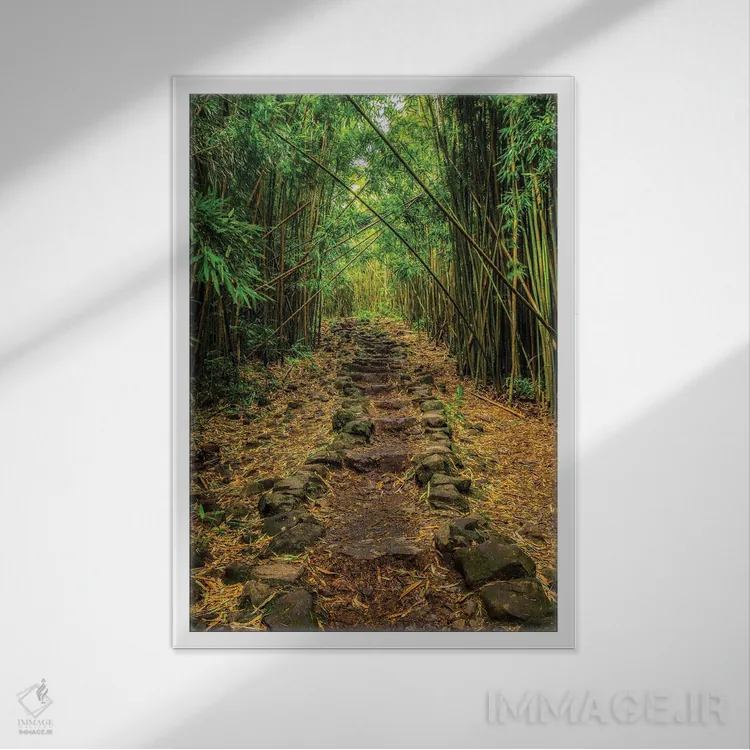 تابلو دکوراتیو گول خورده اثر شین مایرز - نمای قابدار سفید