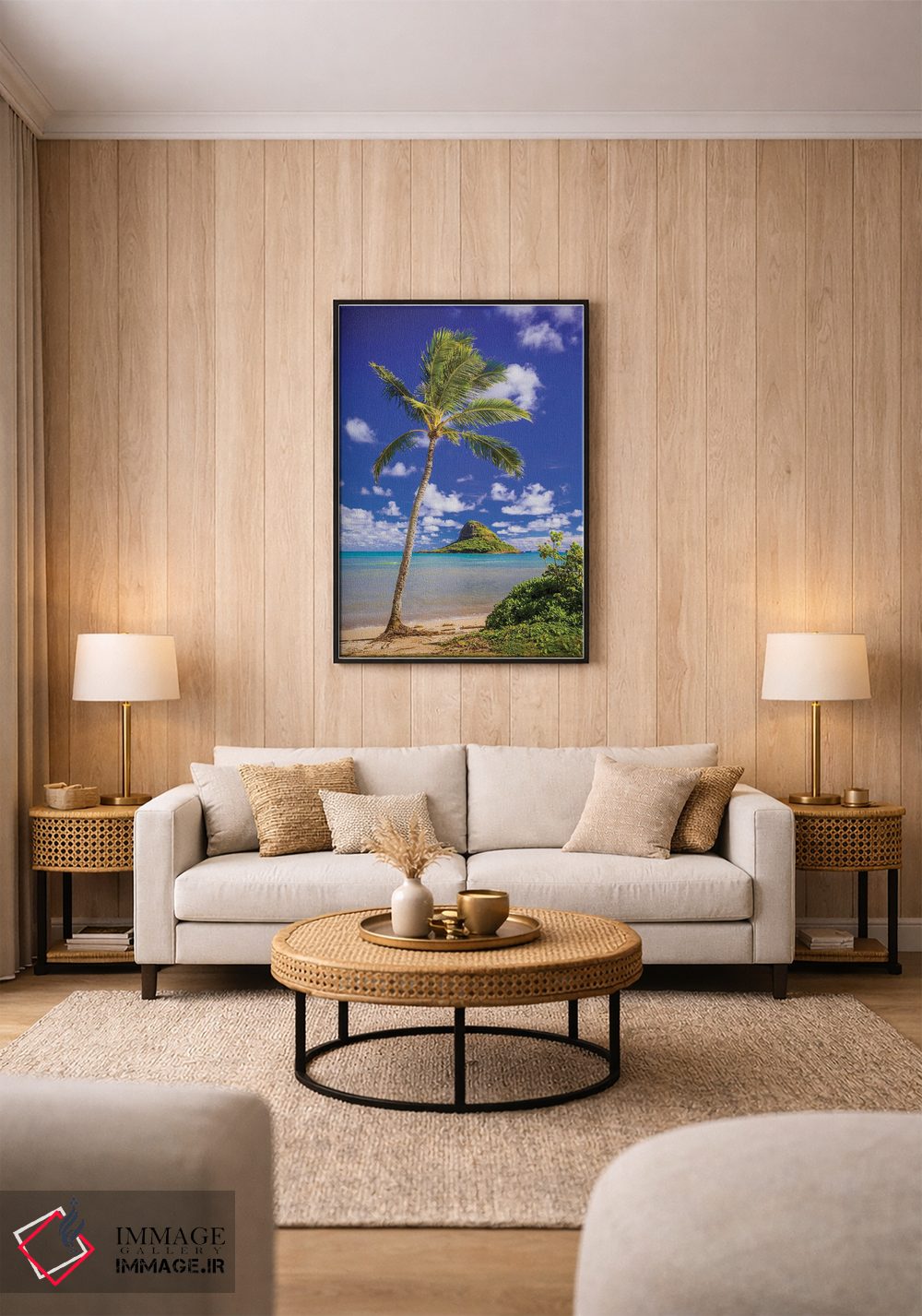 تابلو دکوراتیو کلاه نارگیلی اثر شین مایرز - D2B