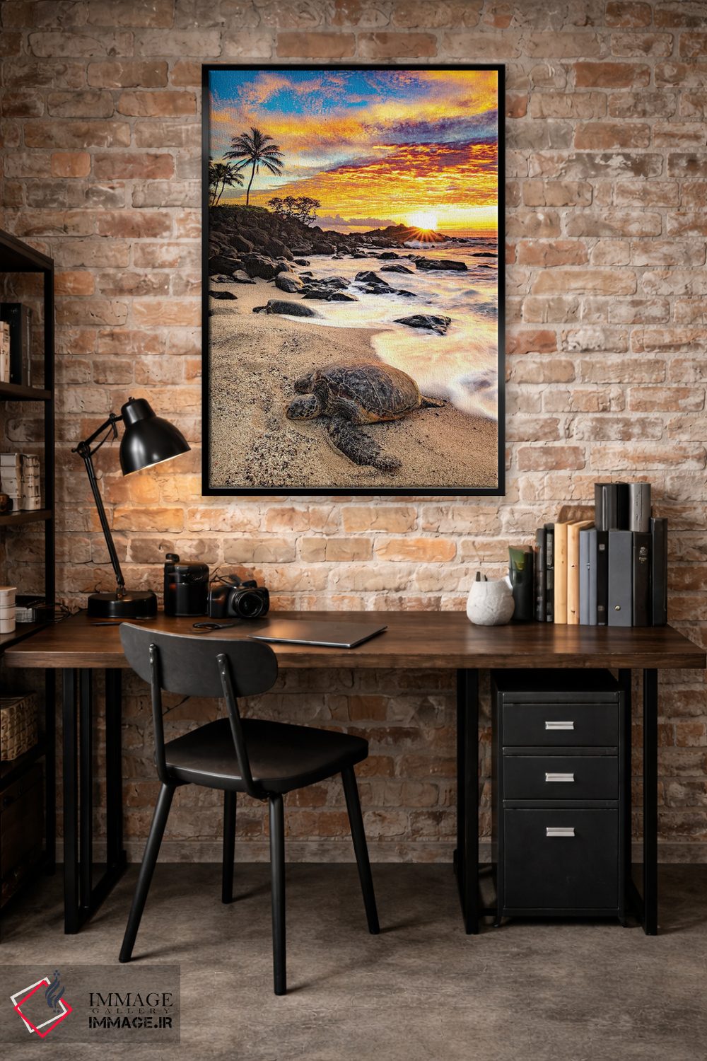 تابلو دکوراتیو لاک پشت سبز اثر شین مایرز - D4B