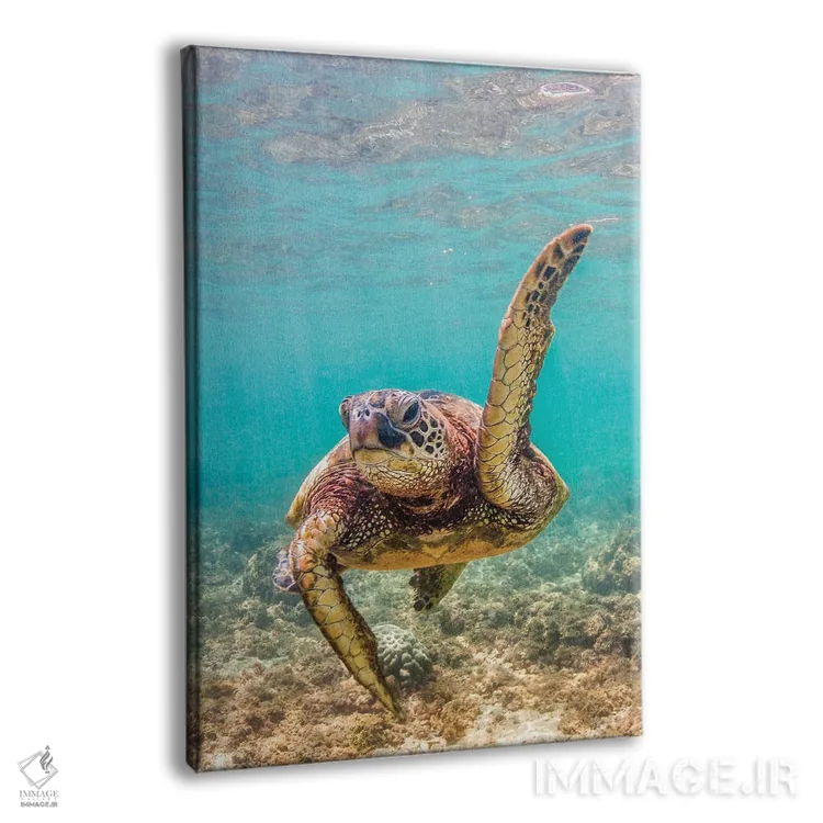 تابلو دکوراتیو دانش آموز محبوب معلم اثر شین مایرز - نمای پرسپکتیو محصول