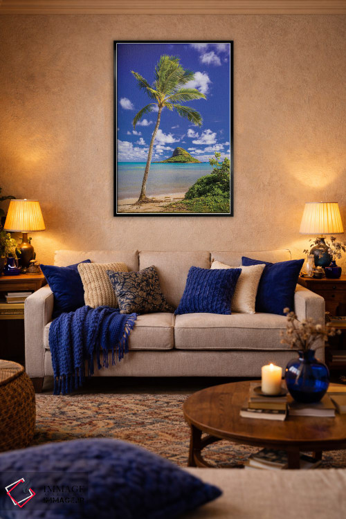 تابلو دکوراتیو کلاه نارگیلی اثر شین مایرز - D5B