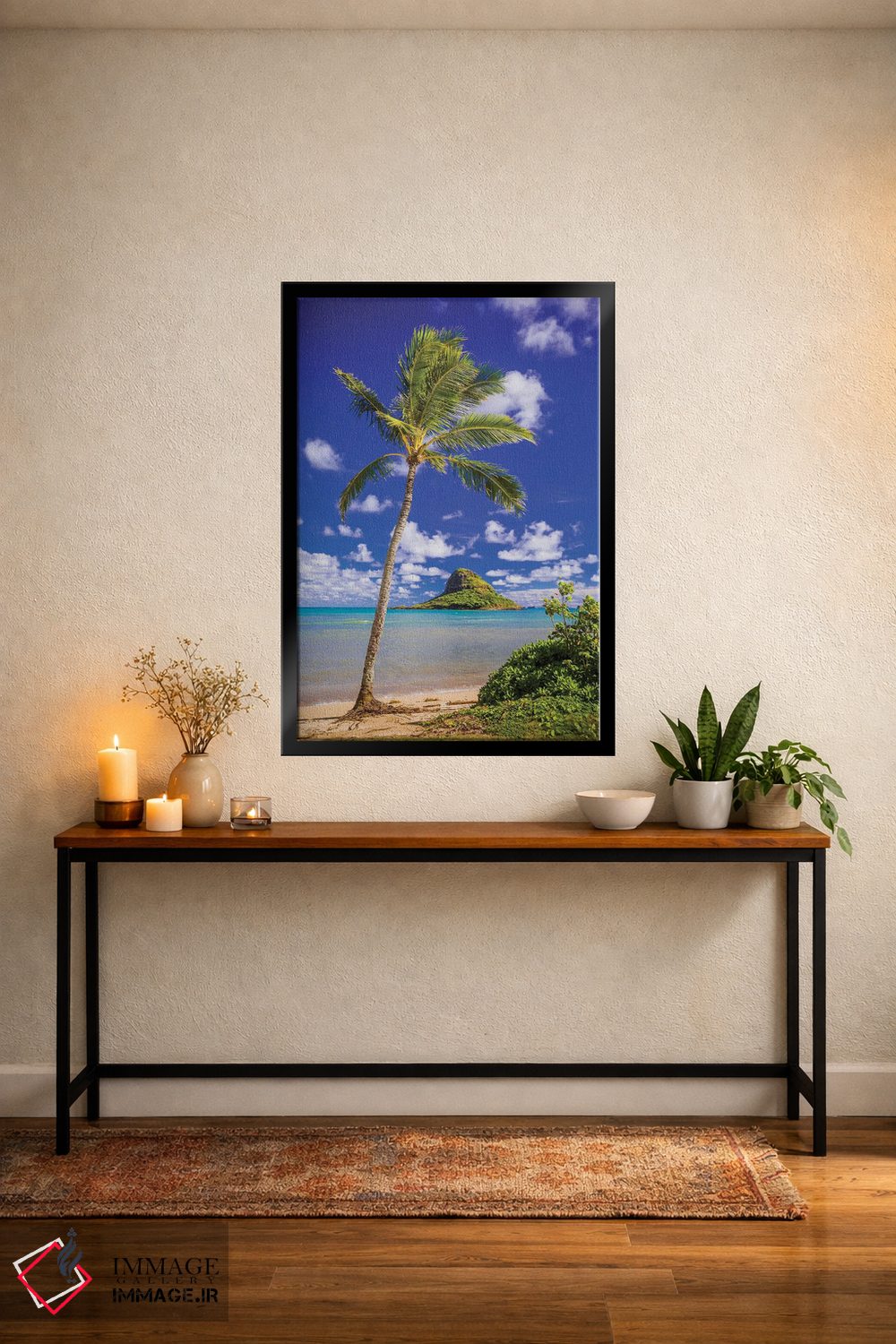 تابلو دکوراتیو کلاه نارگیلی اثر شین مایرز - D6B