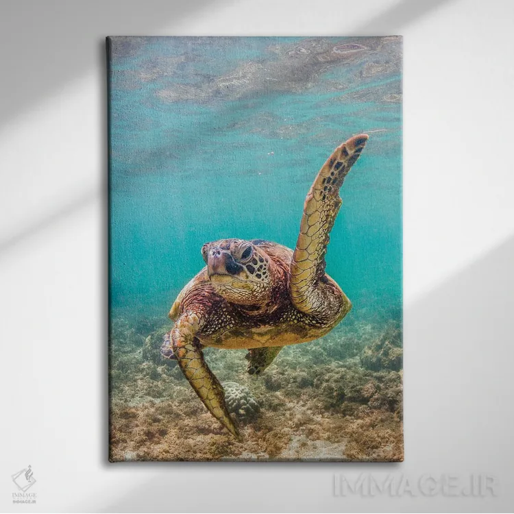 تابلو دکوراتیو دانش آموز محبوب معلم اثر شین مایرز - نمای روبهرو روی دیوار