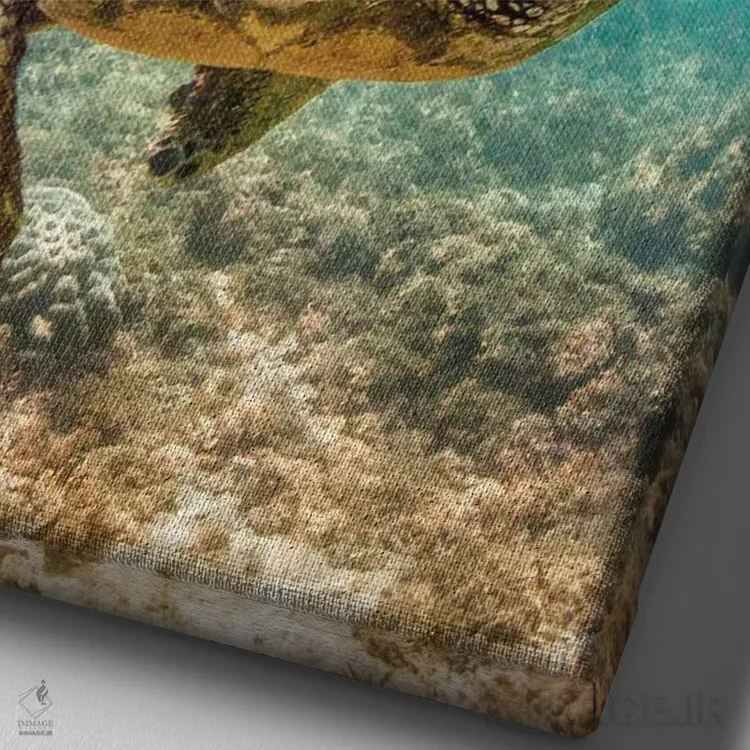 تابلو دکوراتیو دانش آموز محبوب معلم اثر شین مایرز - نمای نزدیک بافت بوم