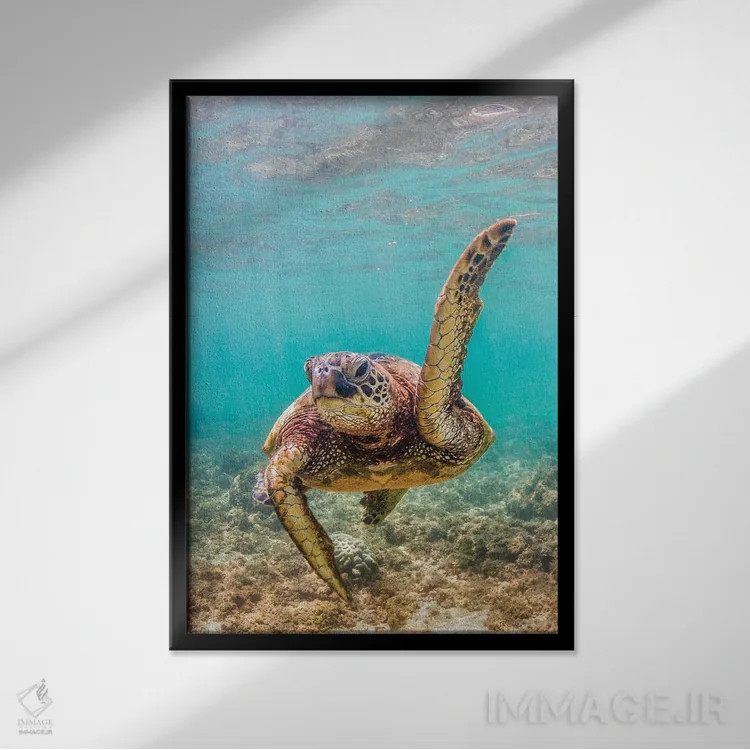 تابلو دکوراتیو دانش آموز محبوب معلم اثر شین مایرز - نمای قابدار مشکی