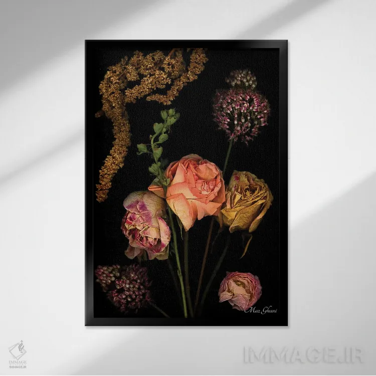 تابلو دکوراتیو فینالیس اثر ماز غنی - نمای قابدار مشکی