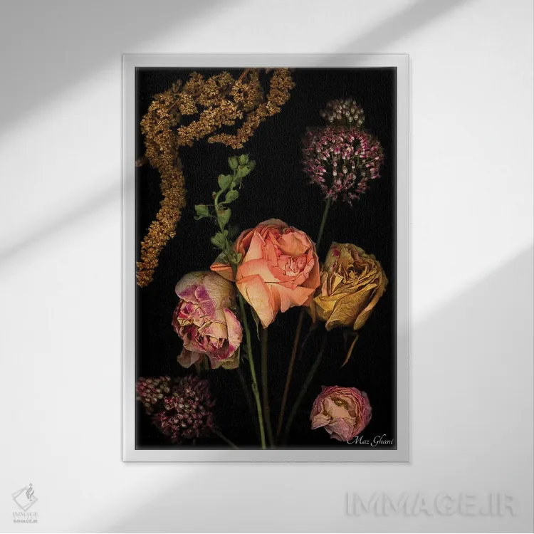 تابلو دکوراتیو فینالیس اثر ماز غنی - نمای قابدار سفید