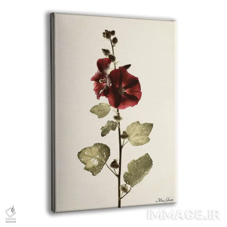 تابلو دکوراتیو آلسیا اثر ماز غنی - نمای پرسپکتیو محصول