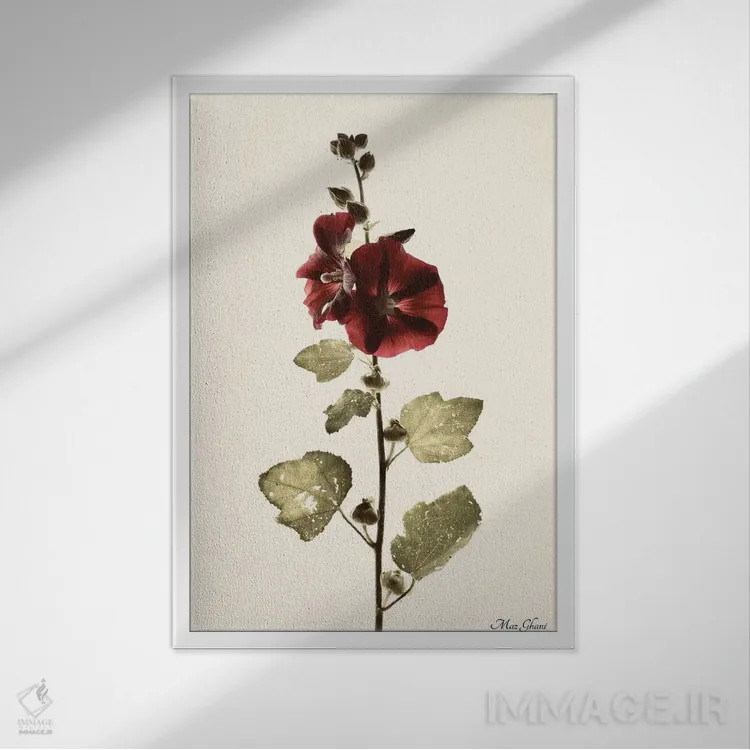 تابلو دکوراتیو آلسیا اثر ماز غنی - نمای قابدار سفید