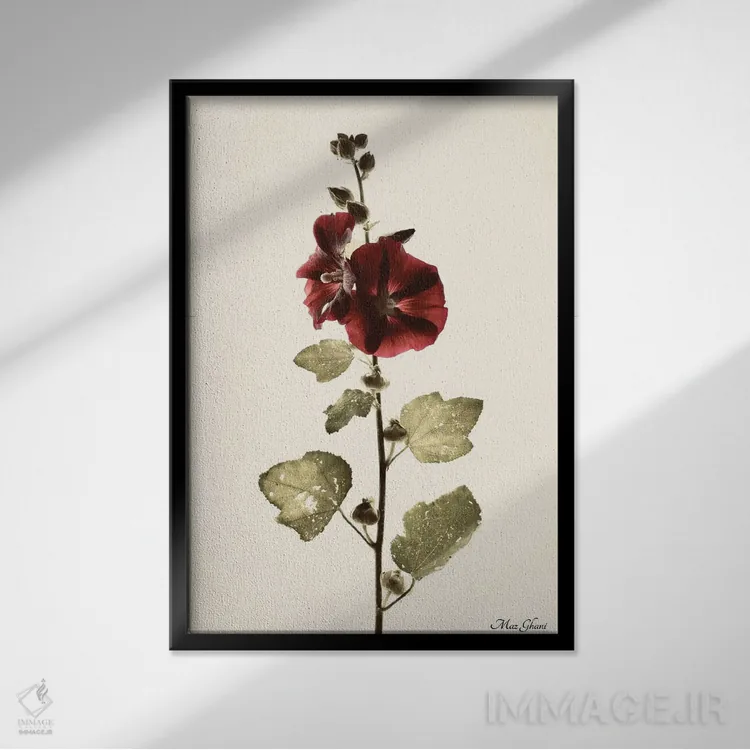 تابلو دکوراتیو آلسیا اثر ماز غنی - نمای قابدار مشکی