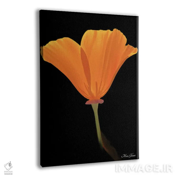 تابلو دکوراتیو لومینوزا اثر ماز غنی - نمای پرسپکتیو محصول