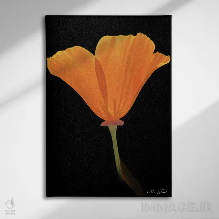 تابلو دکوراتیو لومینوزا اثر ماز غنی - نمای روبهرو روی دیوار