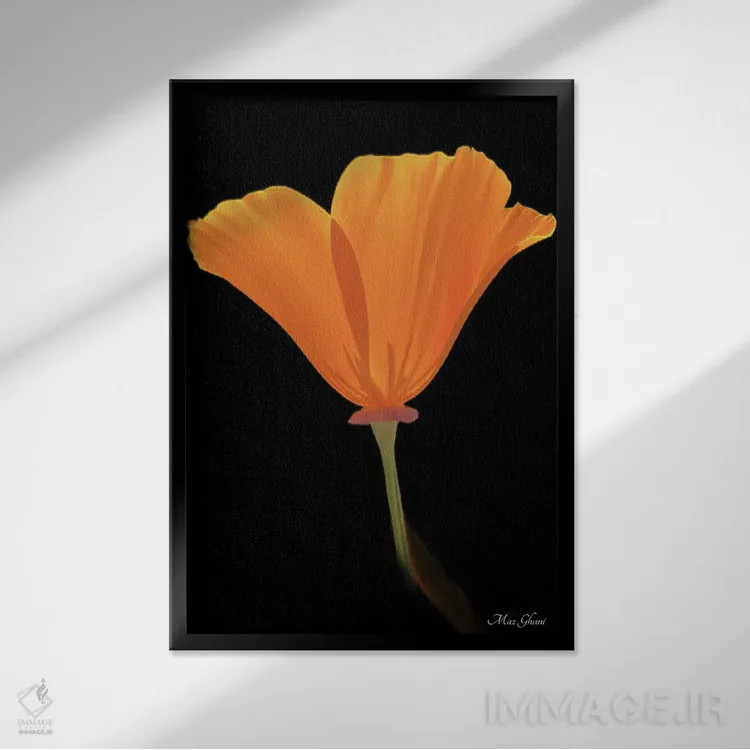 تابلو دکوراتیو لومینوزا اثر ماز غنی - نمای قابدار مشکی