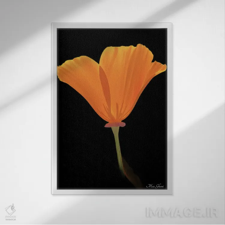 تابلو دکوراتیو لومینوزا اثر ماز غنی - نمای قابدار سفید