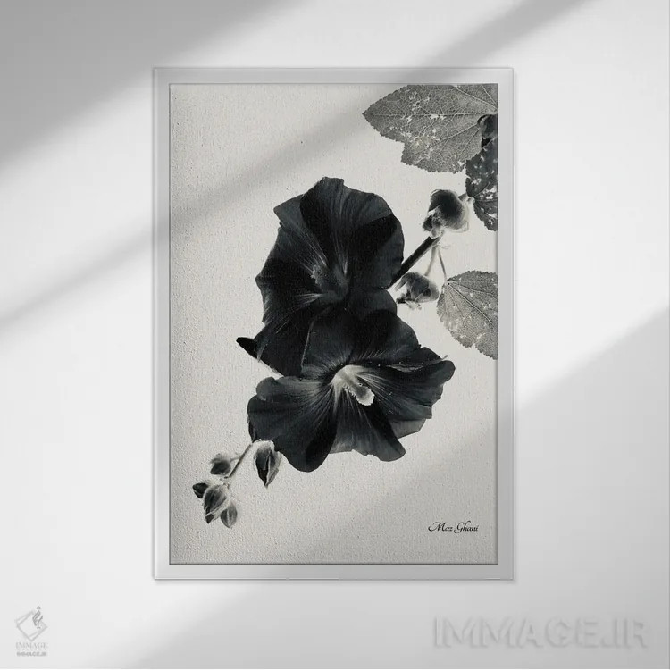 تابلو دکوراتیو سایه های شب اثر ماز غنی - نمای قابدار سفید